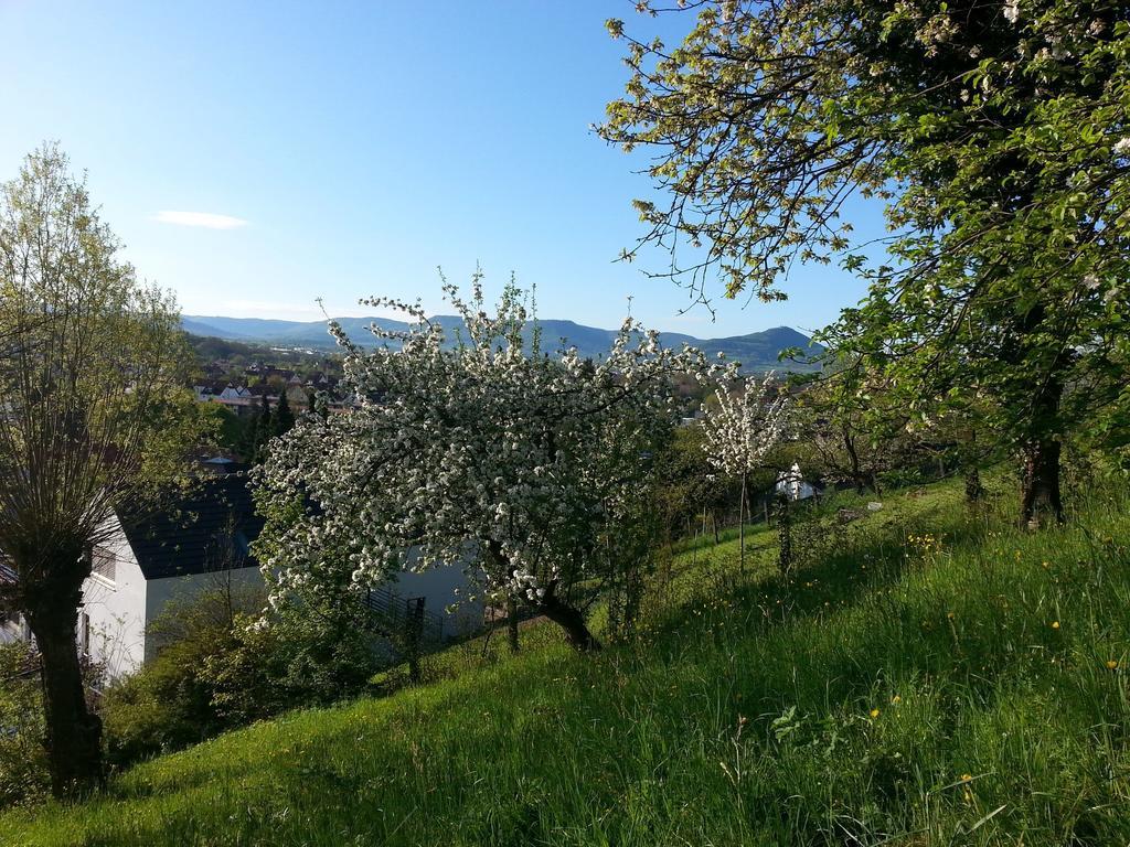Teck-Apartment Kirchheim unter Teck Eksteriør bilde